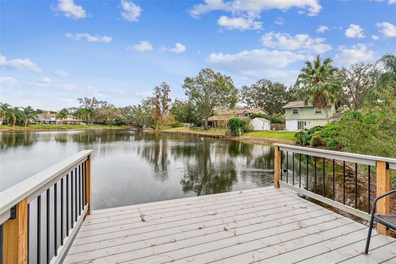 11713 Phoenix Circle, Tampa, FL 33618 Photo