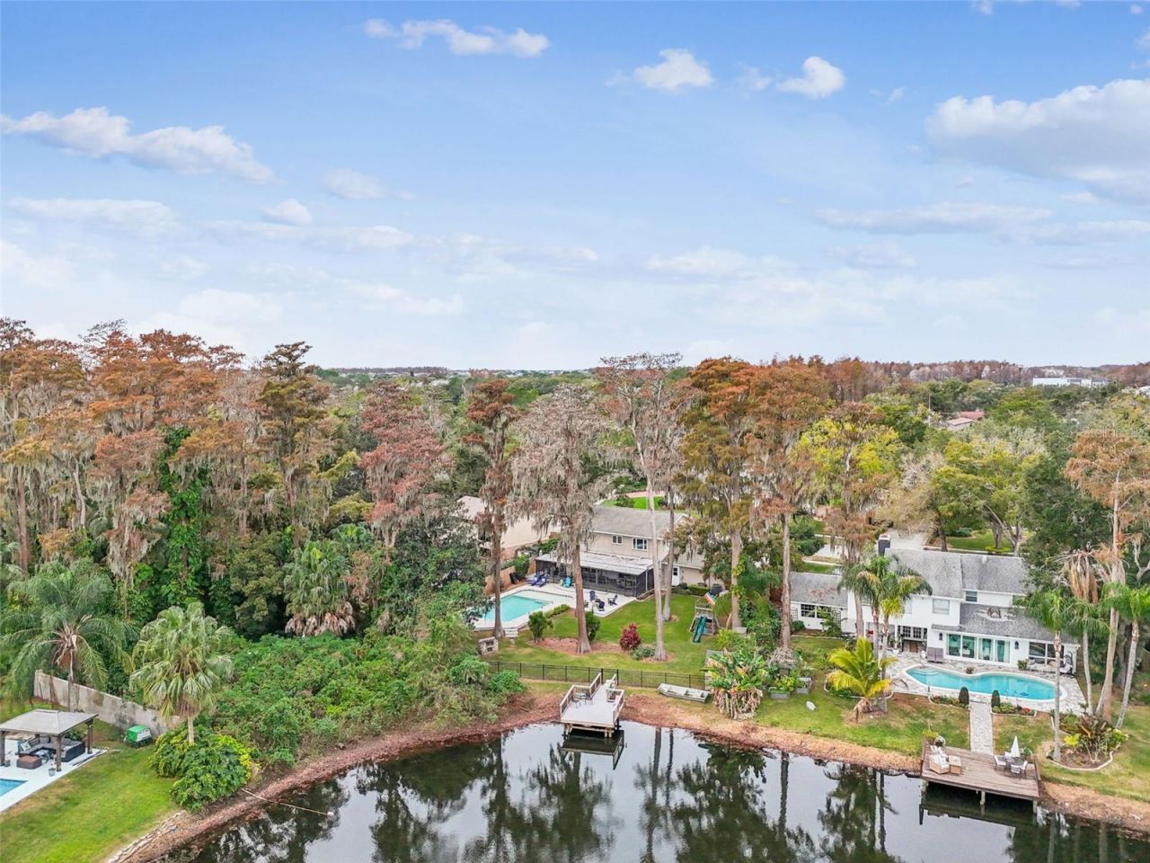 11713 Phoenix Circle, Tampa, FL 33618 Photo