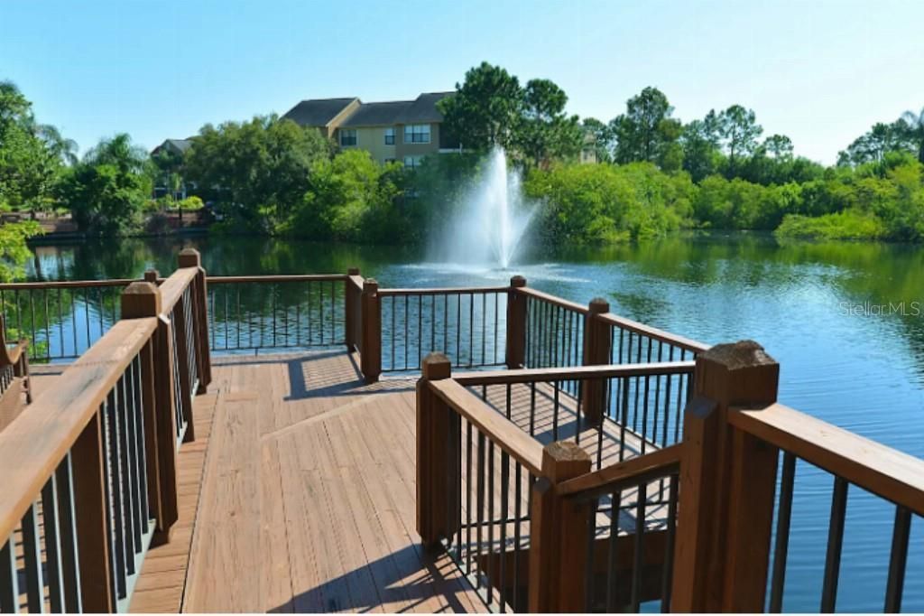 11901 4th Street N, Unit 3101, Saint Petersburg, FL 33716 Photo