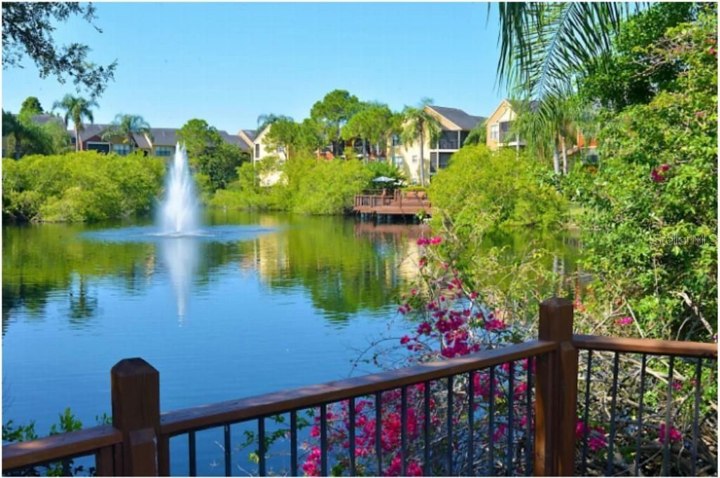 11901 4th Street N, Unit 3101, Saint Petersburg, FL 33716 Photo