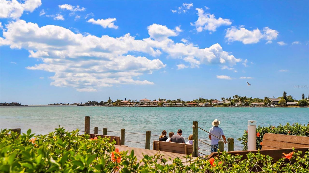 6021 Bahia Del Mar Circle, Unit 234, Saint Petersburg, FL 33715 Photo