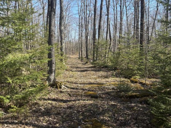 TBD S Walding RD, Drummond Island, MI 49726