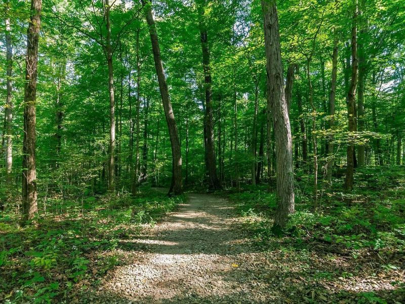 5600 Blendon View Court, Columbus, OH 43230 Photo 44