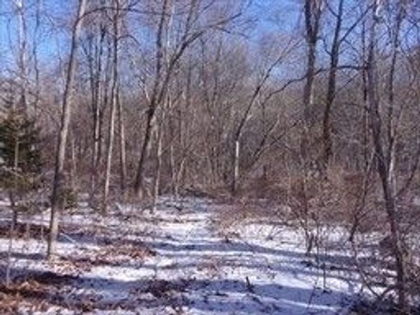 90 Chestnut Hill Road, Millville, MA 01529