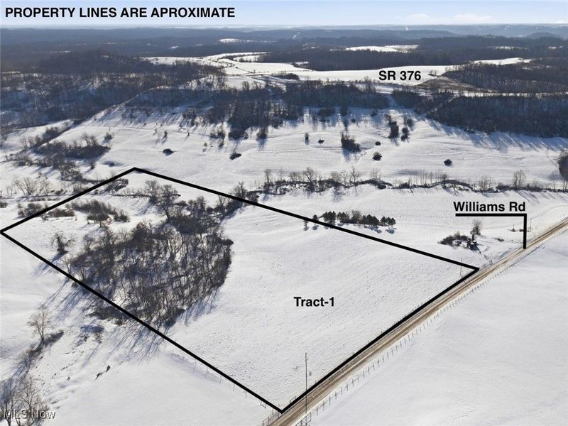 Parcel 1 Willimas Road, McConnelsville, OH 43756 Photo 10