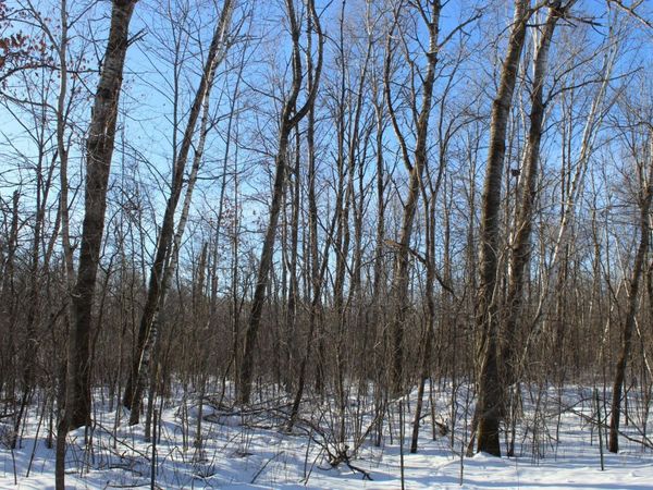 91xx 200th Street, Milaca, MN 56353