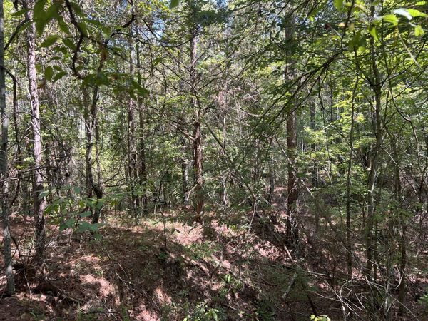 Nebo Rd, Coila, MS 38923