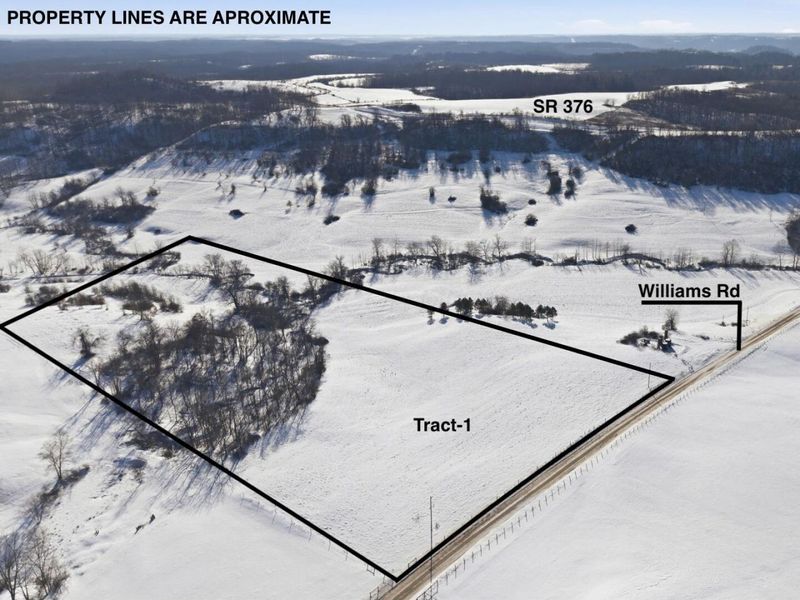 Parcel 1 Williams Road, McConnelsville, OH 43756 Photo 10