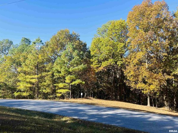 Lot 39 & 40 Luxor Landing Lane, Goreville, IL 62939