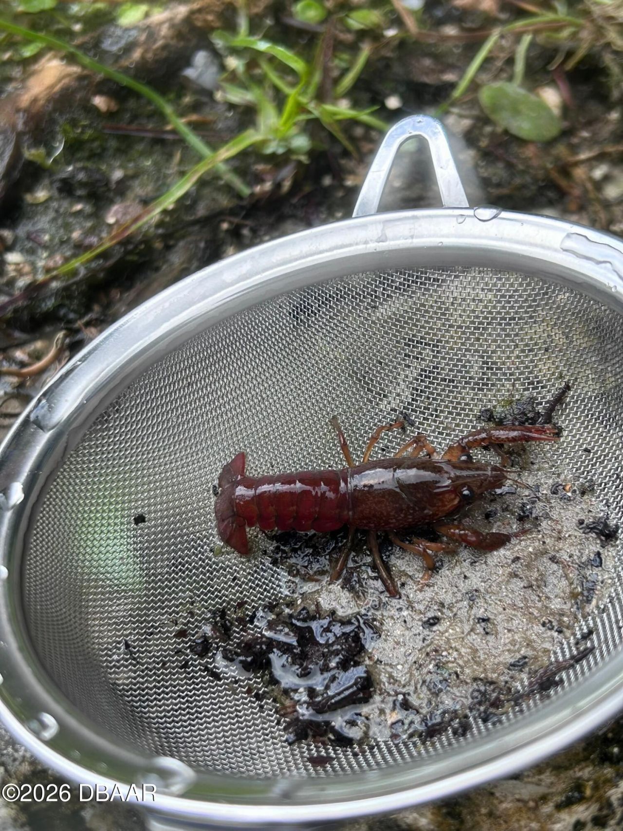 130 Reef Road, South Daytona, FL 32119 Photo