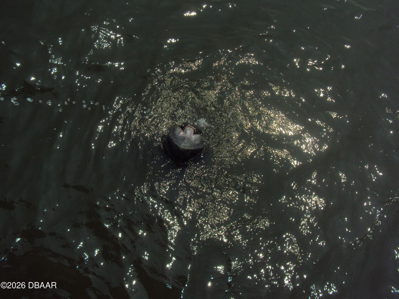 130 Reef Road, South Daytona, FL 32119 Photo