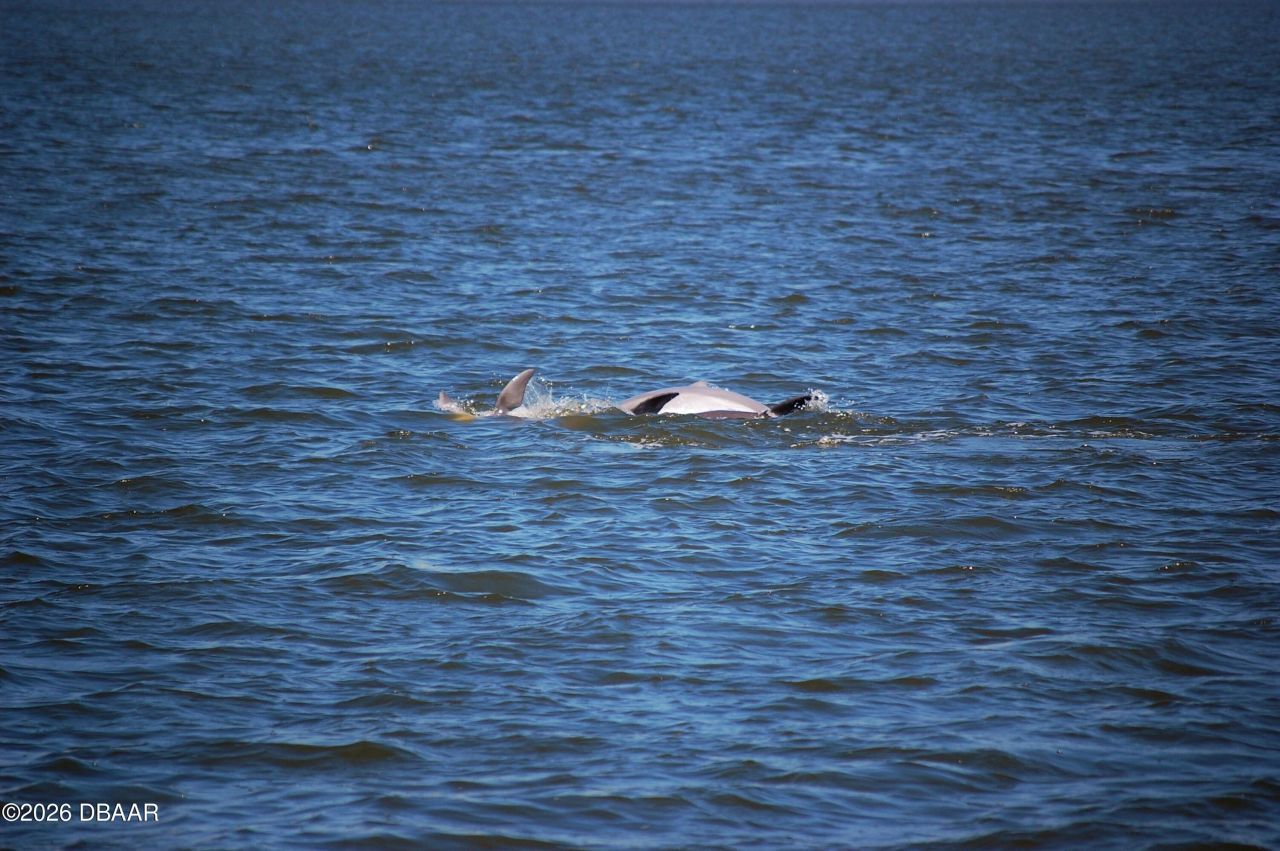 130 Reef Road, South Daytona, FL 32119 Photo