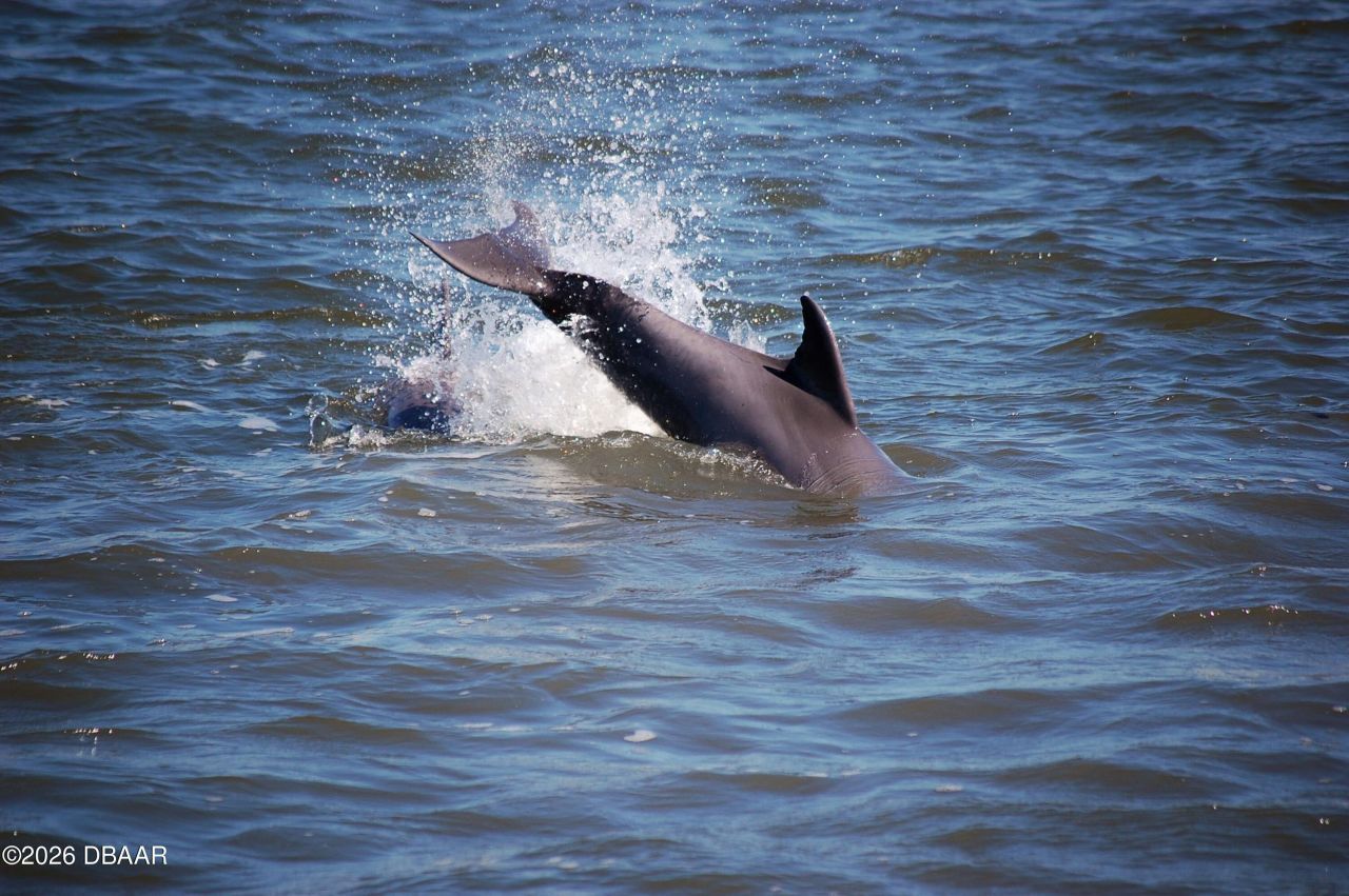 130 Reef Road, South Daytona, FL 32119 Photo