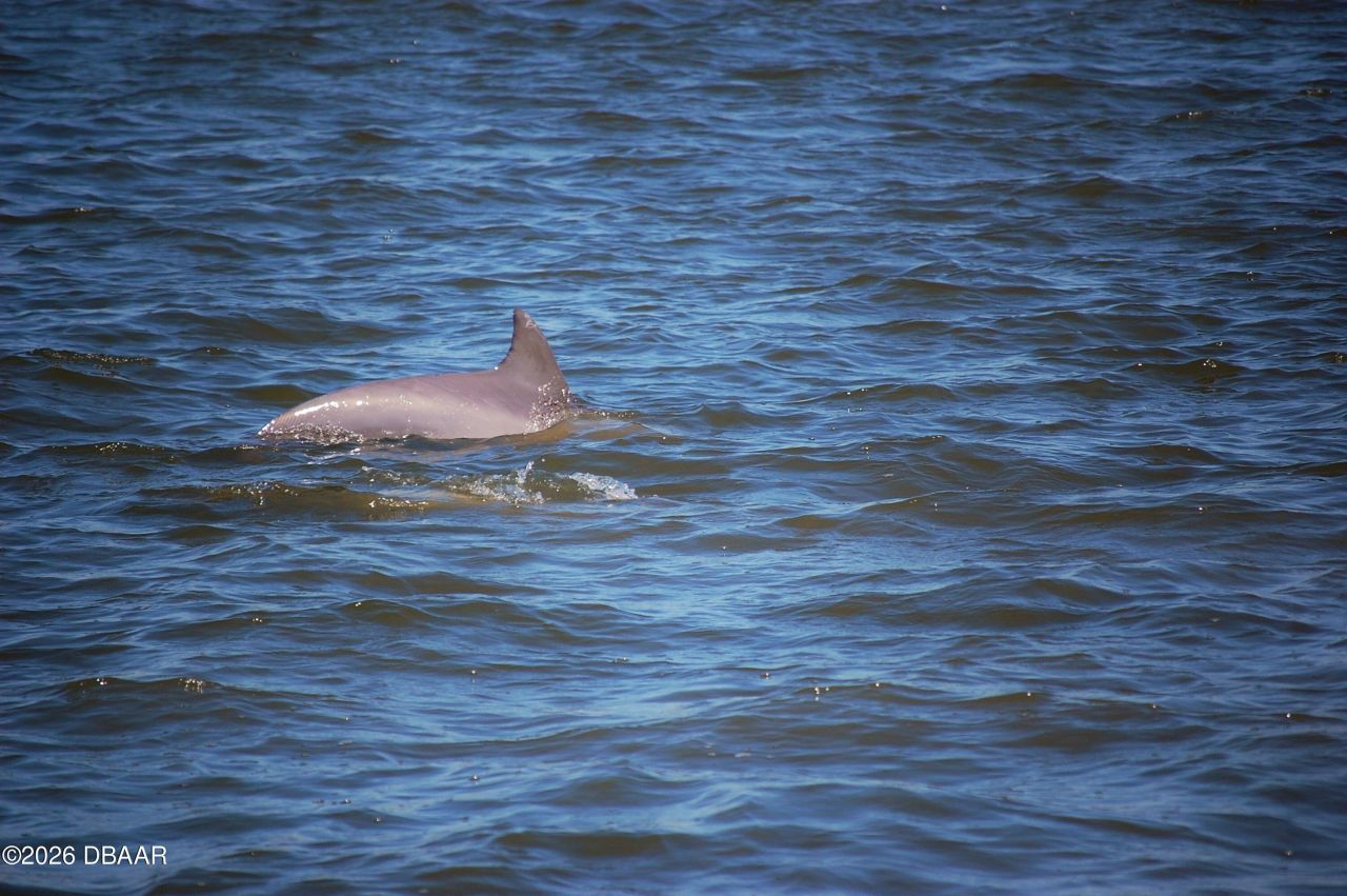 130 Reef Road, South Daytona, FL 32119 Photo