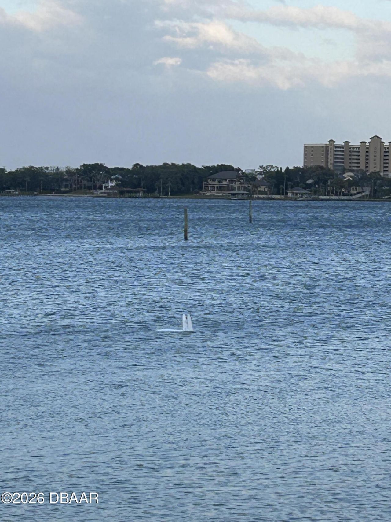 130 Reef Road, South Daytona, FL 32119 Photo