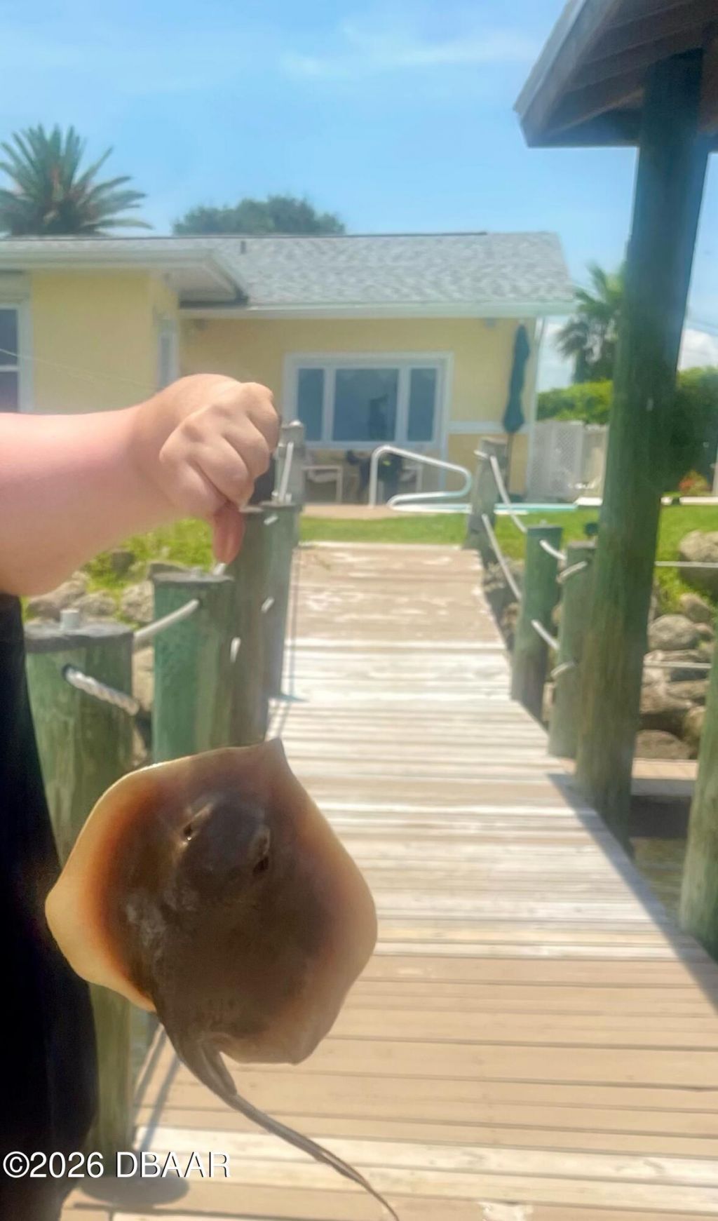 130 Reef Road, South Daytona, FL 32119 Photo