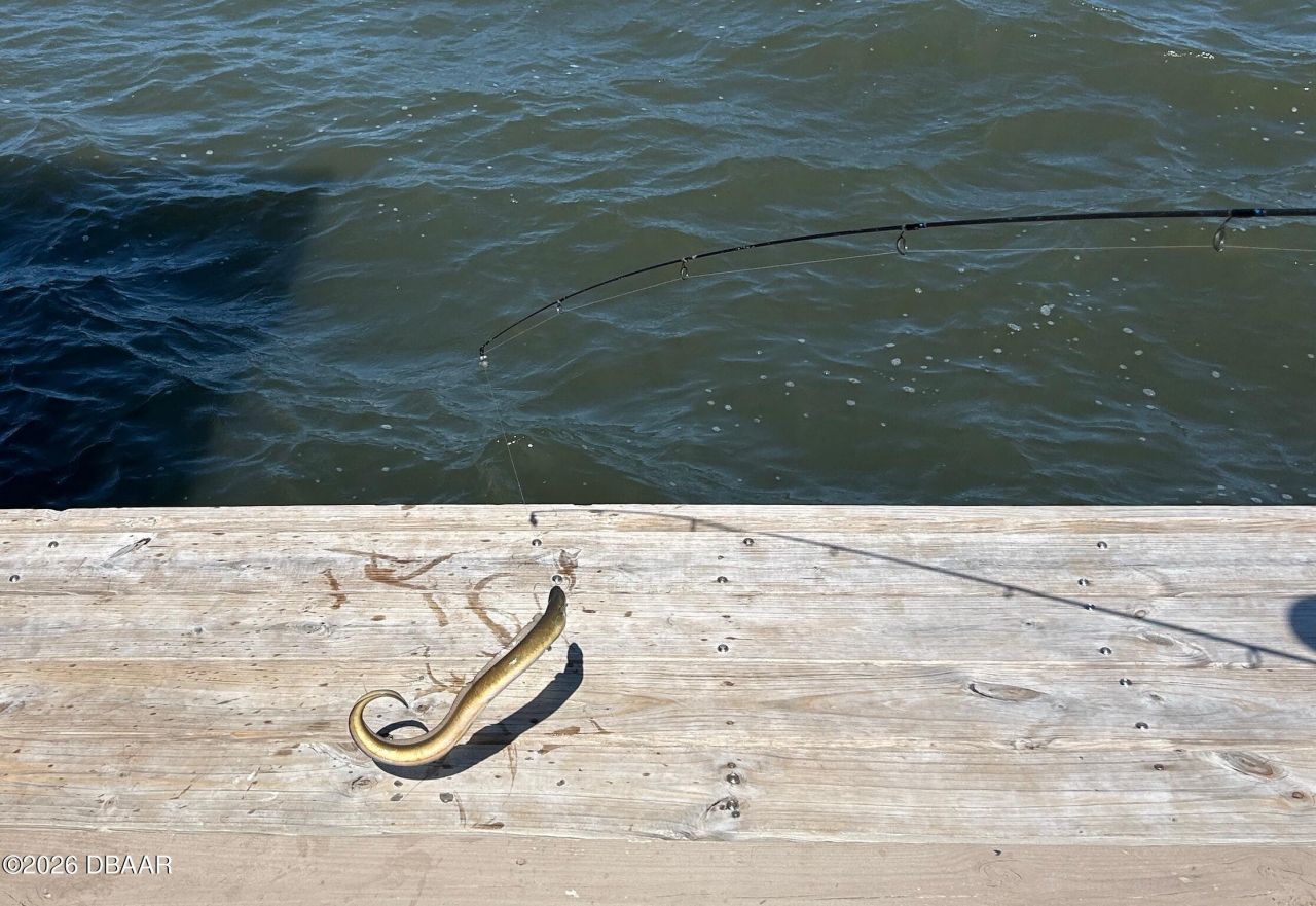 130 Reef Road, South Daytona, FL 32119 Photo