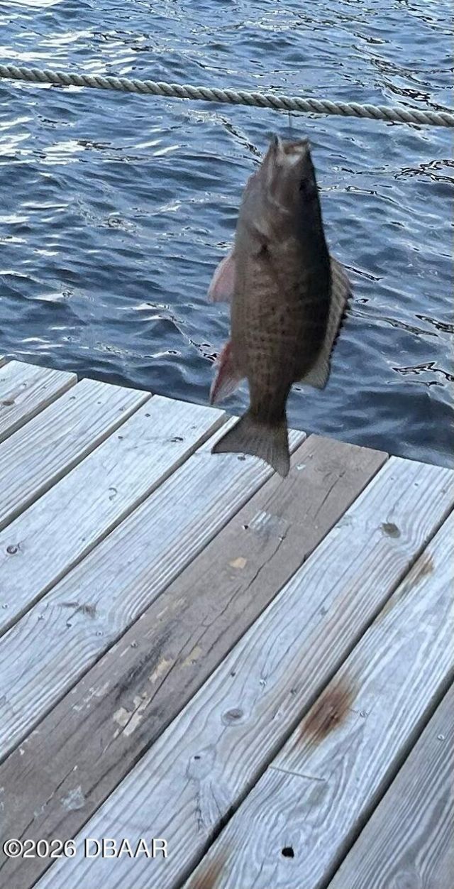 130 Reef Road, South Daytona, FL 32119 Photo