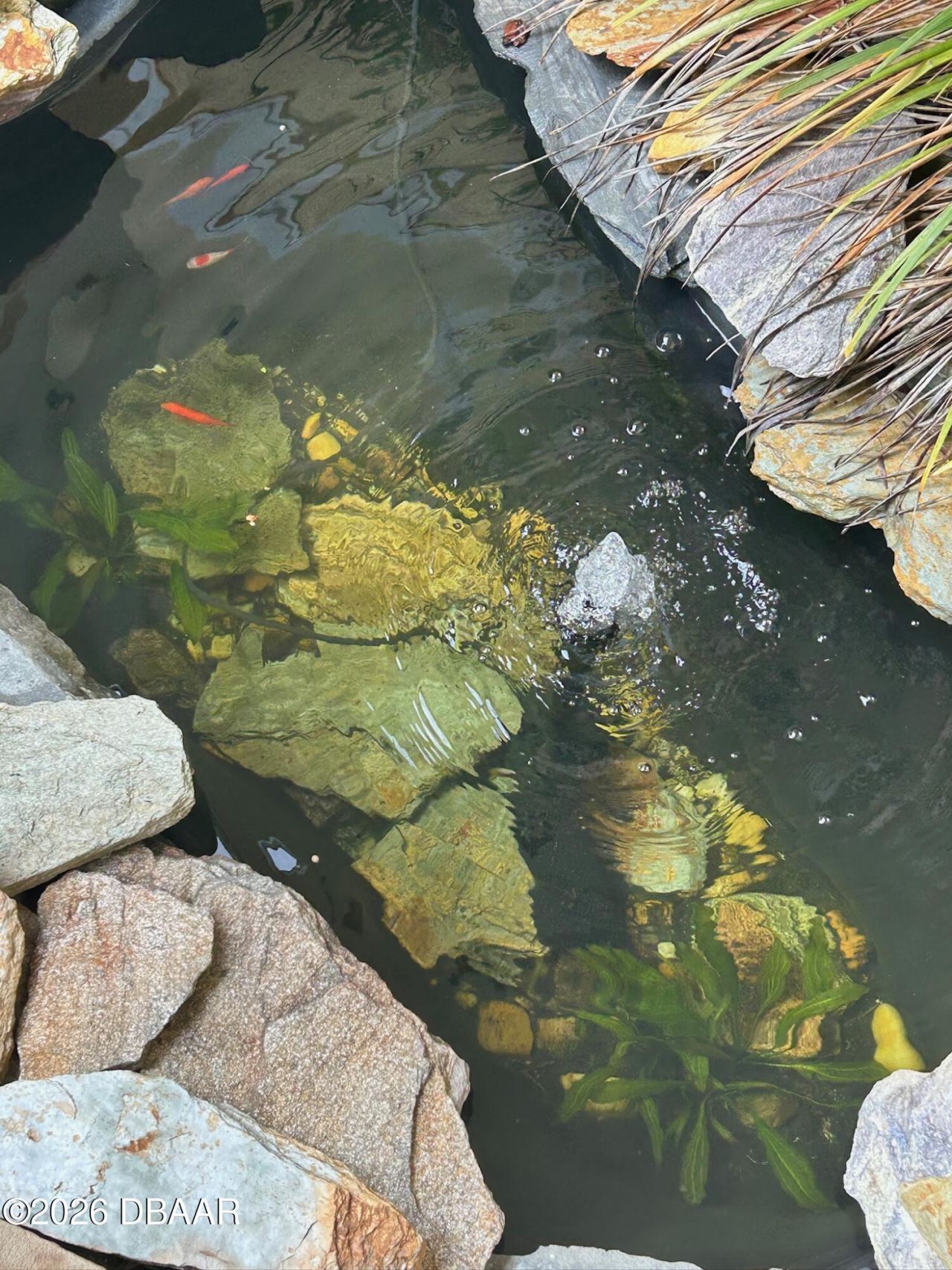 130 Reef Road, South Daytona, FL 32119 Photo