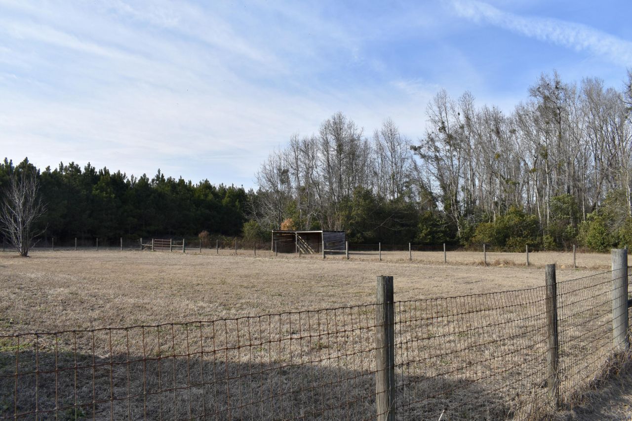 1646 Wells Road Photo 5