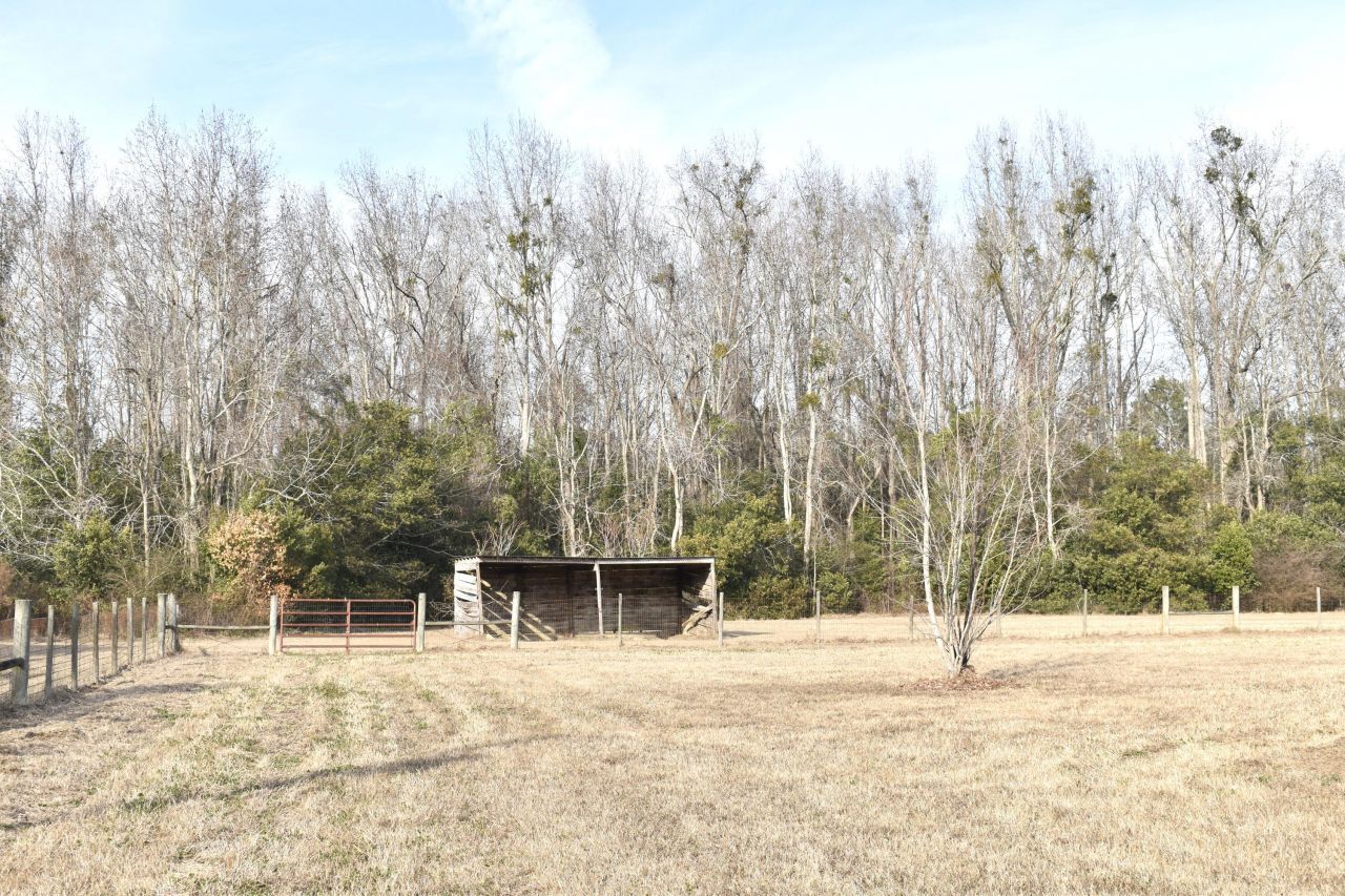 1646 Wells Road Photo 6