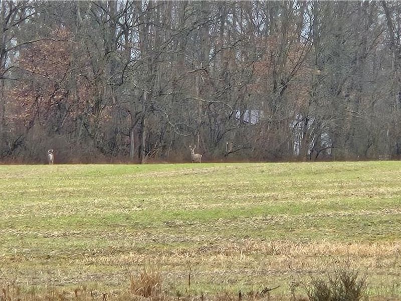 1 Middleboro Road, Blanchester, OH 45107 Photo 6