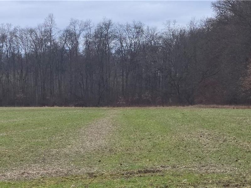 1 Middleboro Road, Blanchester, OH 45107 Photo 8