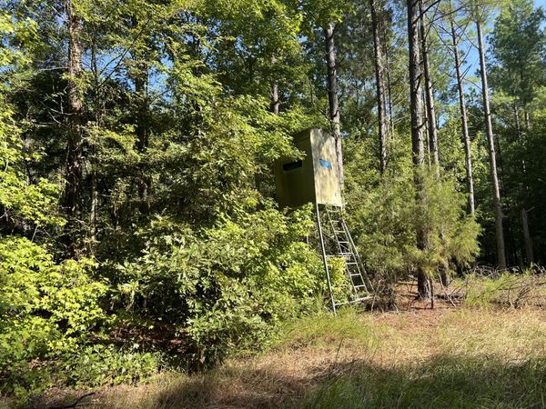 Co Rd 211, Vaiden, MS 39176