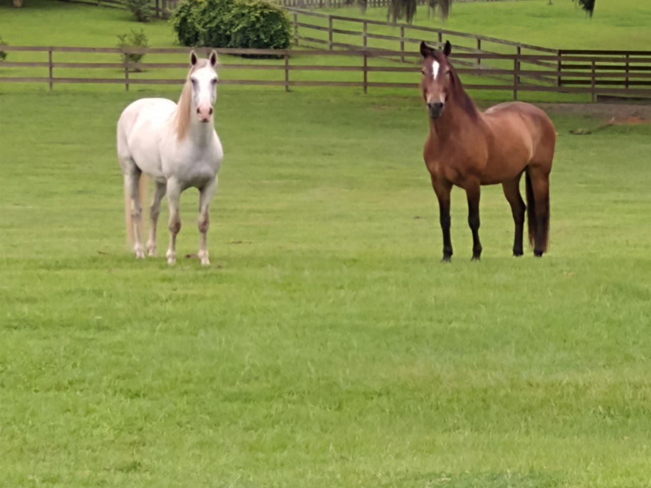 925 Hiawatha Farms Road, Monticello, FL 32344 Photo