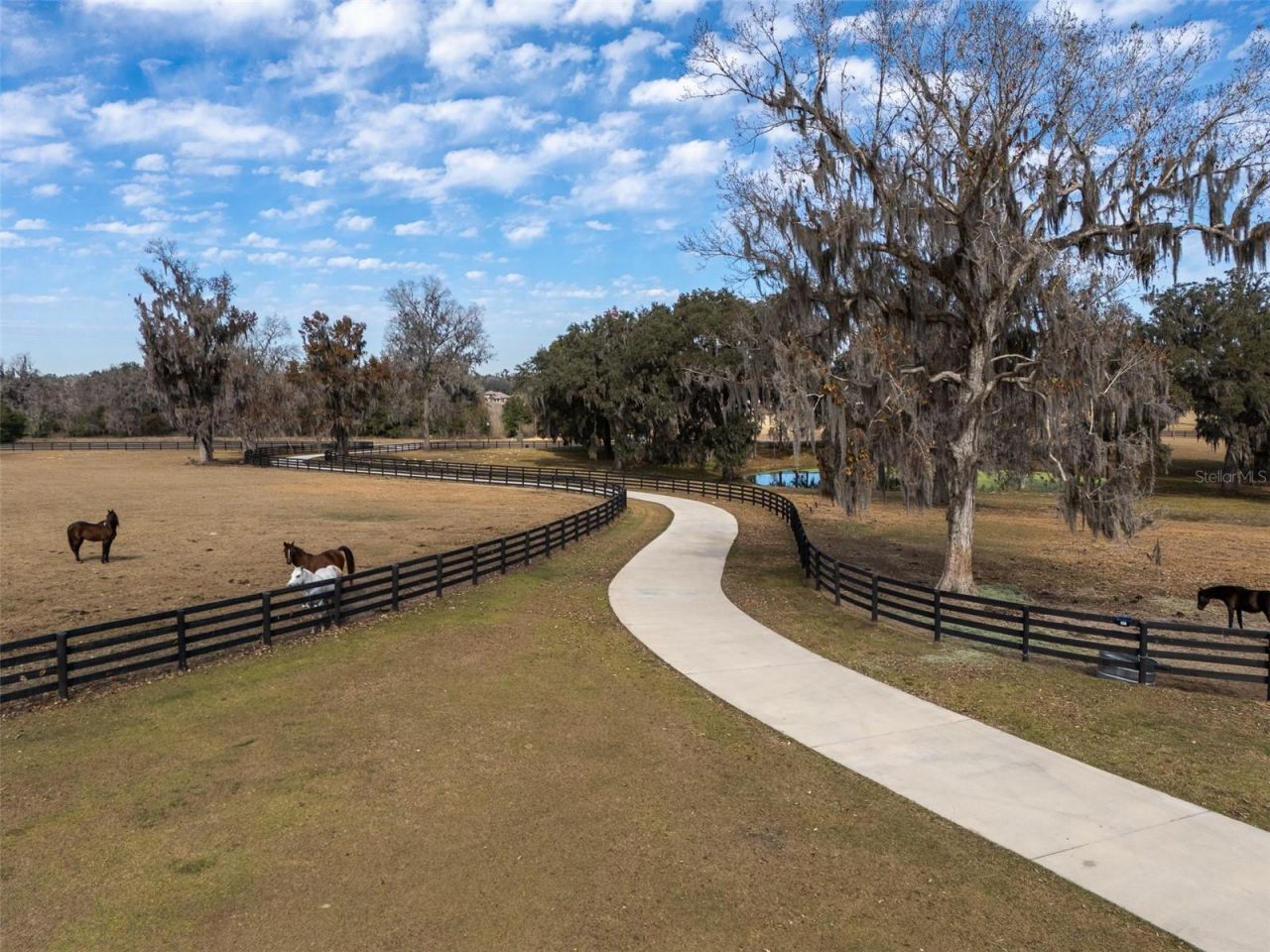 11920 SE 22nd Avenue Road, Ocala, FL 34480 Photo