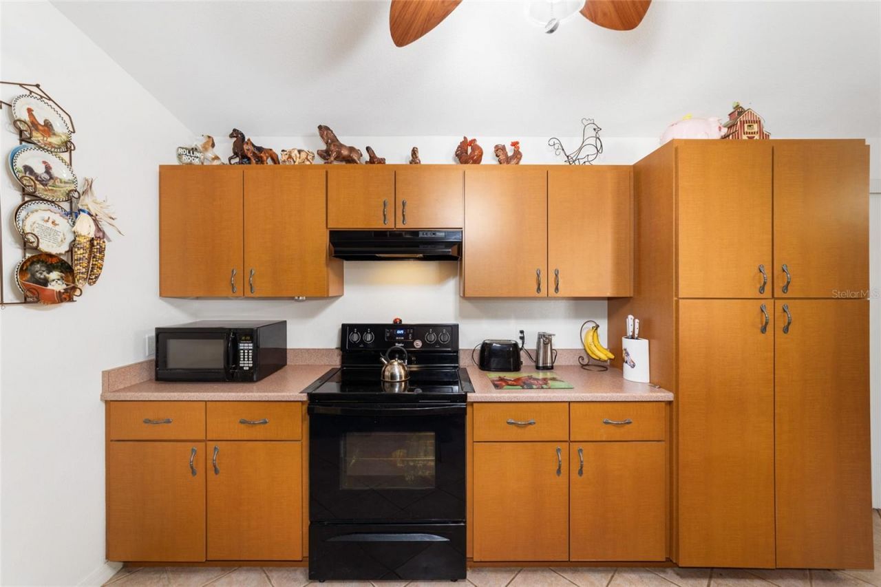 1572 N Highway 314a, Silver Springs, FL 34488 Photo