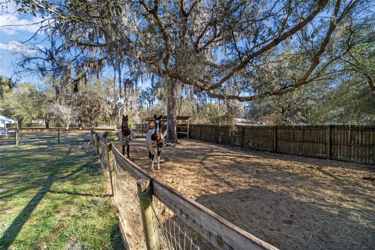 1572 N Highway 314a, Silver Springs, FL 34488 Photo