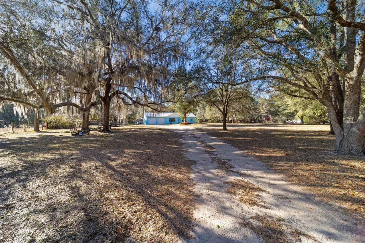 1572 N Highway 314a, Silver Springs, FL 34488 Photo