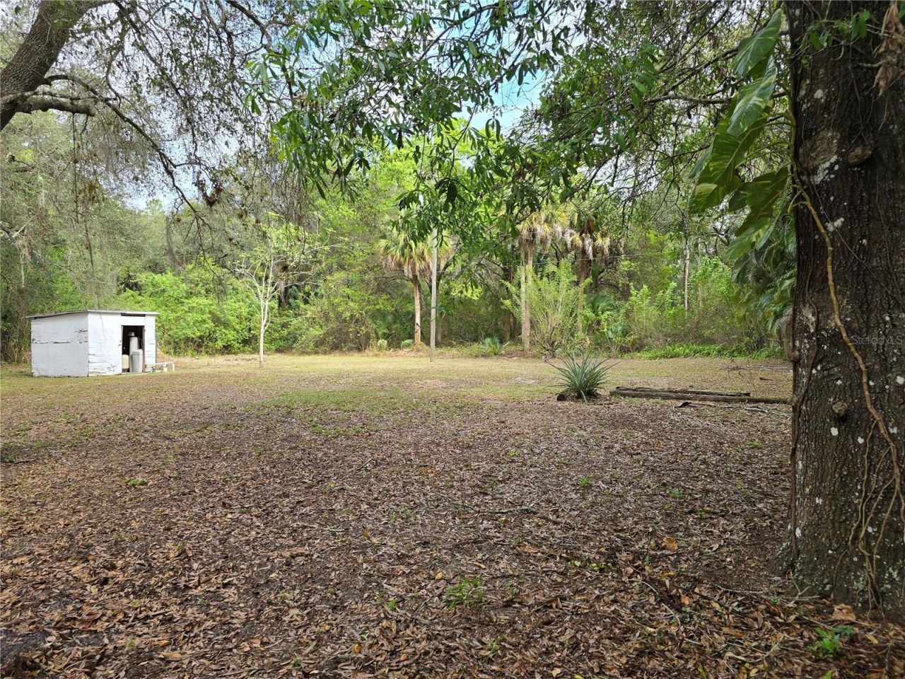 1652 Lake Avenue, Lehigh Acres, FL 33972 Photo