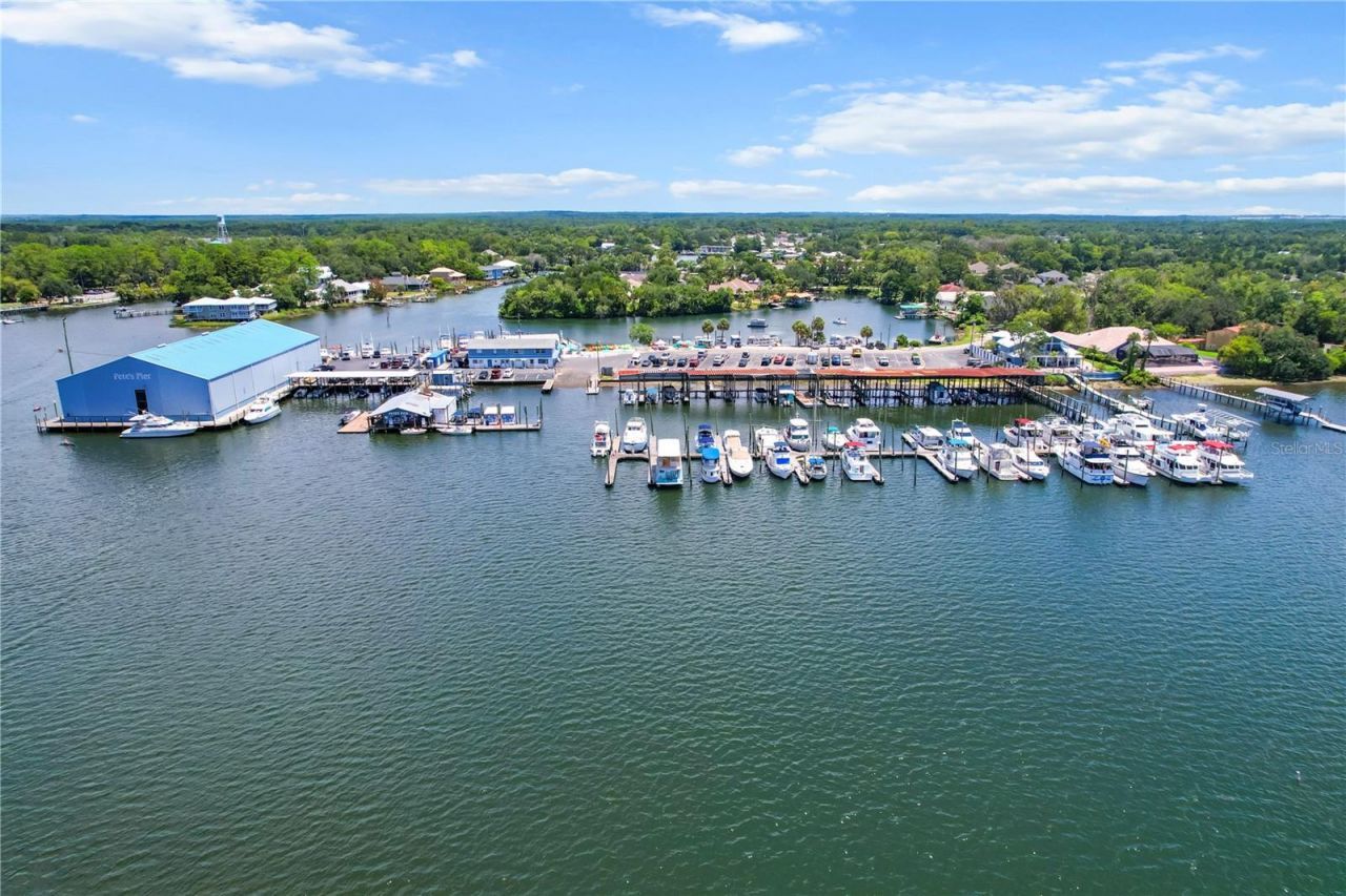 2571 N Seneca Point, Crystal River, FL 34429 Photo