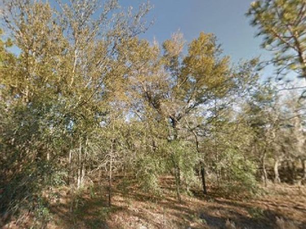 NE 154TH AVENUE, WILLISTON, FL 32696