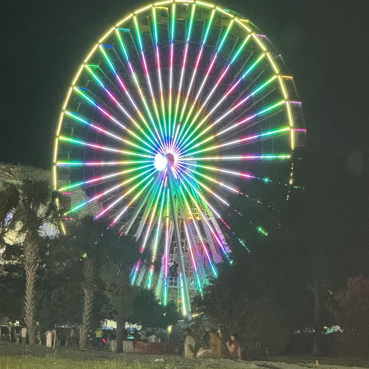 3768 Citation Way Photo 35