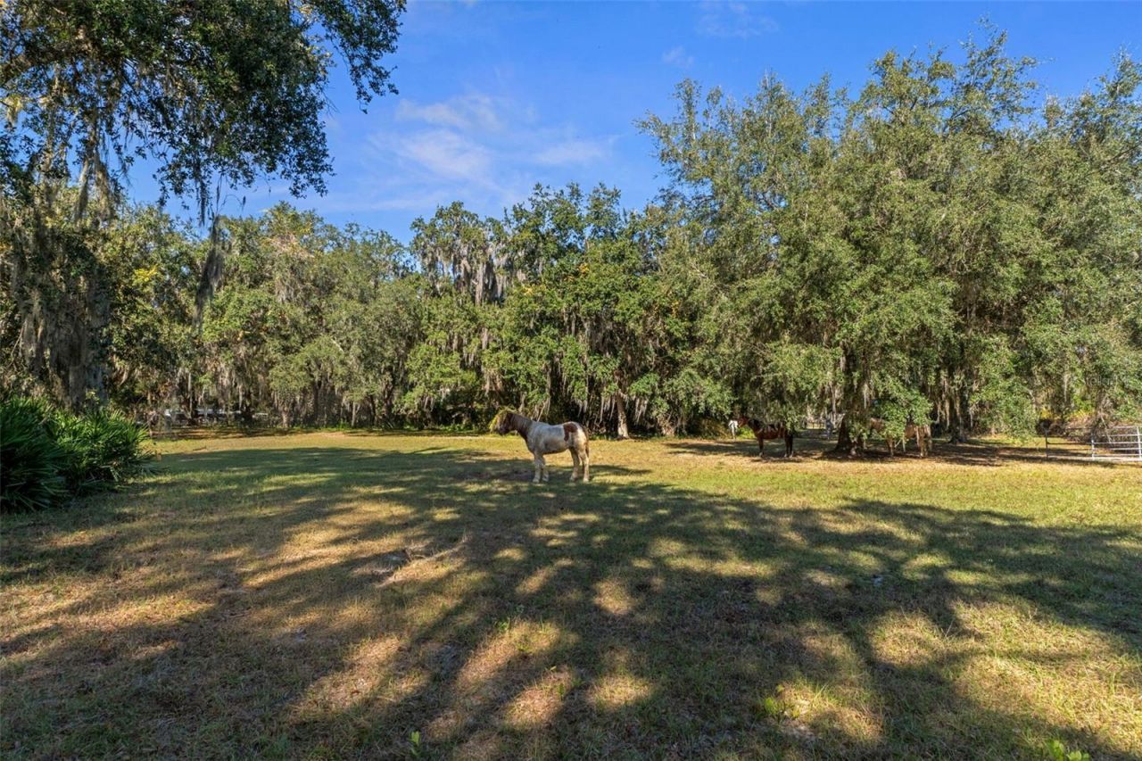 Please Call For Address, Okahumpka, FL 34762 Photo