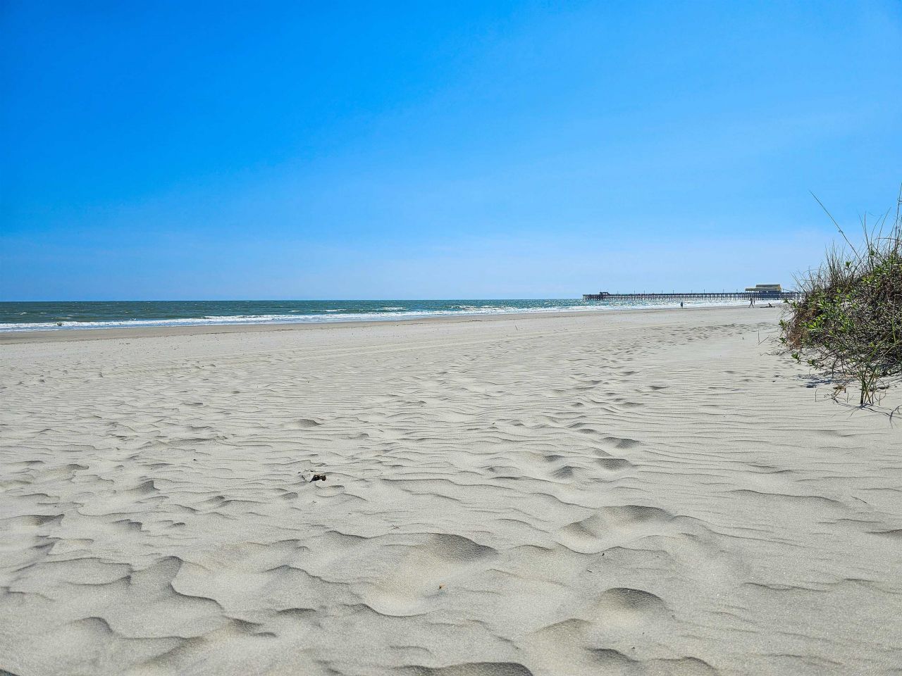 824 Castleford Circle Photo 38