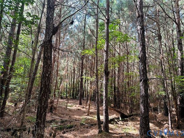 00 Parcel B Turnpike Rd, Bohannon, VA 23021