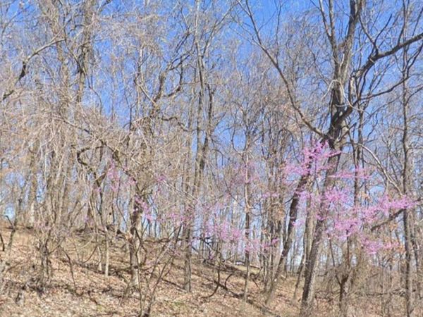 5.16 Acres Summit Drive, Holiday Island, AR 72631