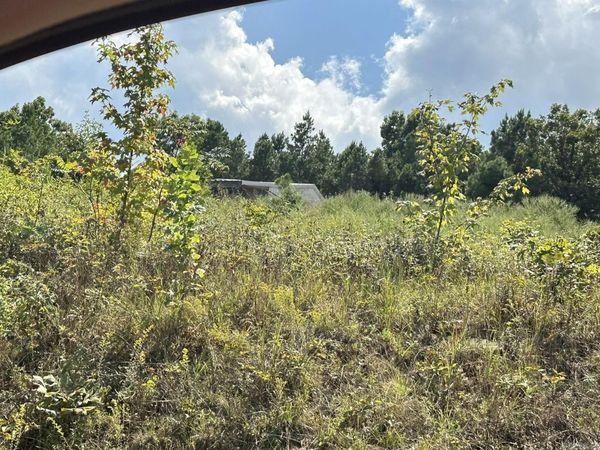 13911 Pool Hollow Lane, Dardanelle, AR 72834