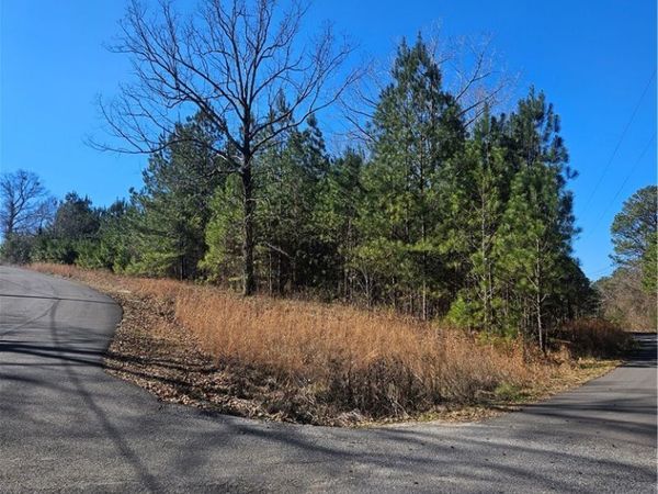 20136 Molly Trace, Woodstock, AL 35188