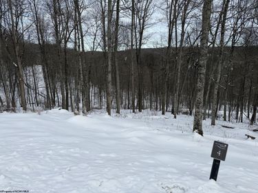 Lot 4 Trailwood Circle, Bruceton Mills, WV 26525