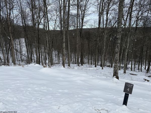 Lot 4 Trailwood Circle, Bruceton Mills, WV 26525