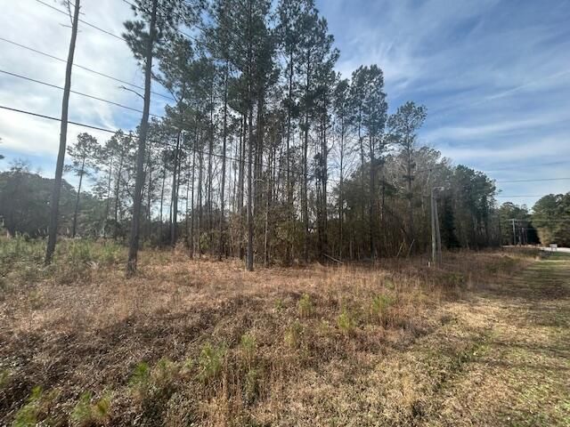 4020 Jefferies Hwy Highway Photo 4