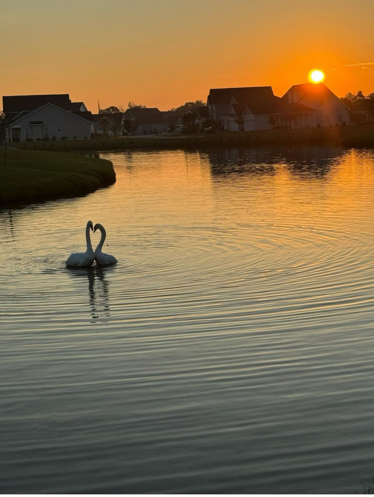 1479 Coventry Rd. Photo 37