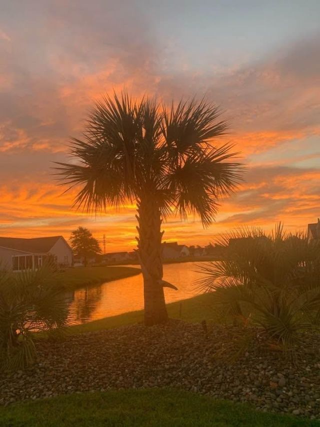 1479 Coventry Rd. Photo 38