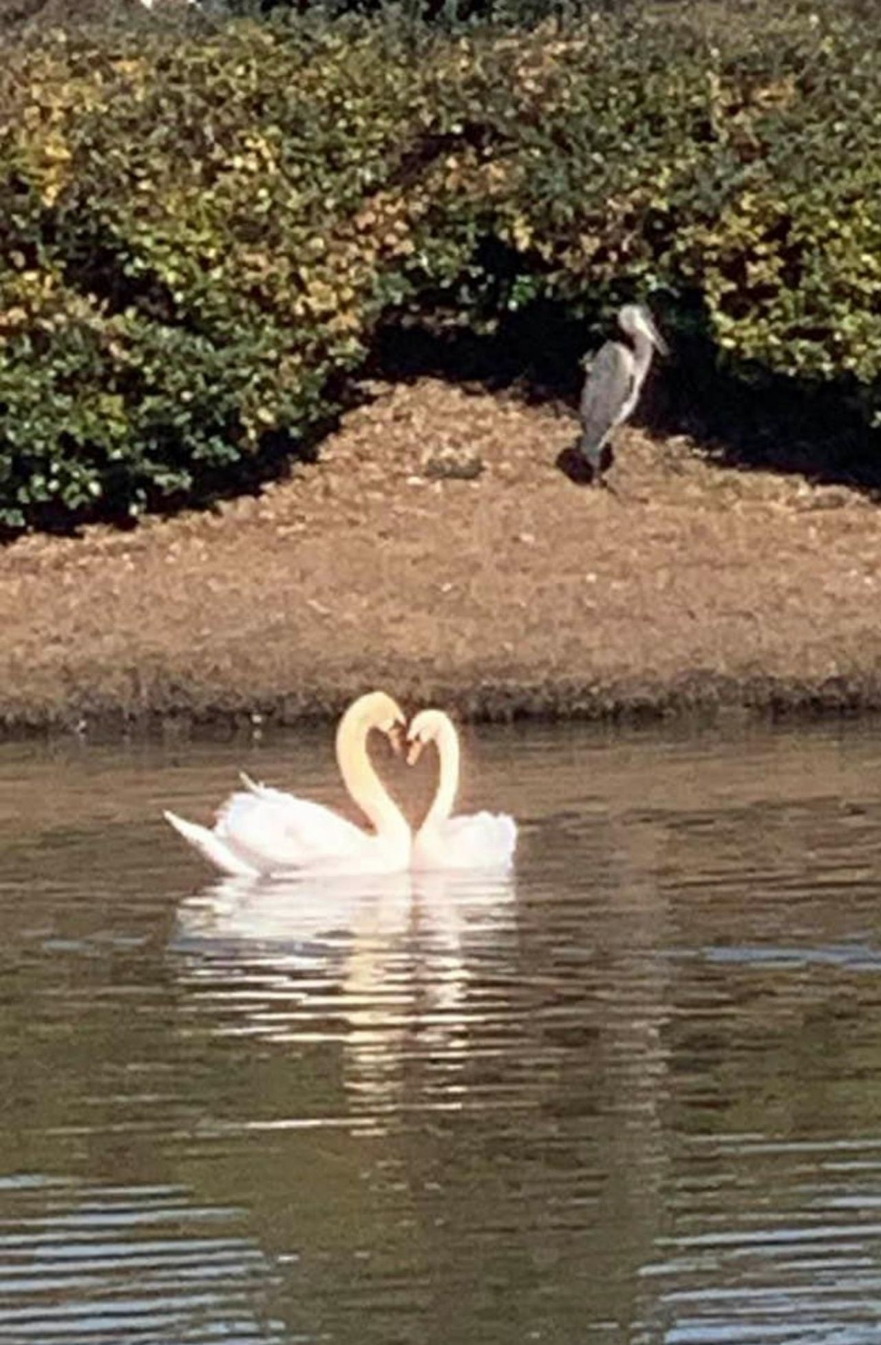 1479 Coventry Rd. Photo 39