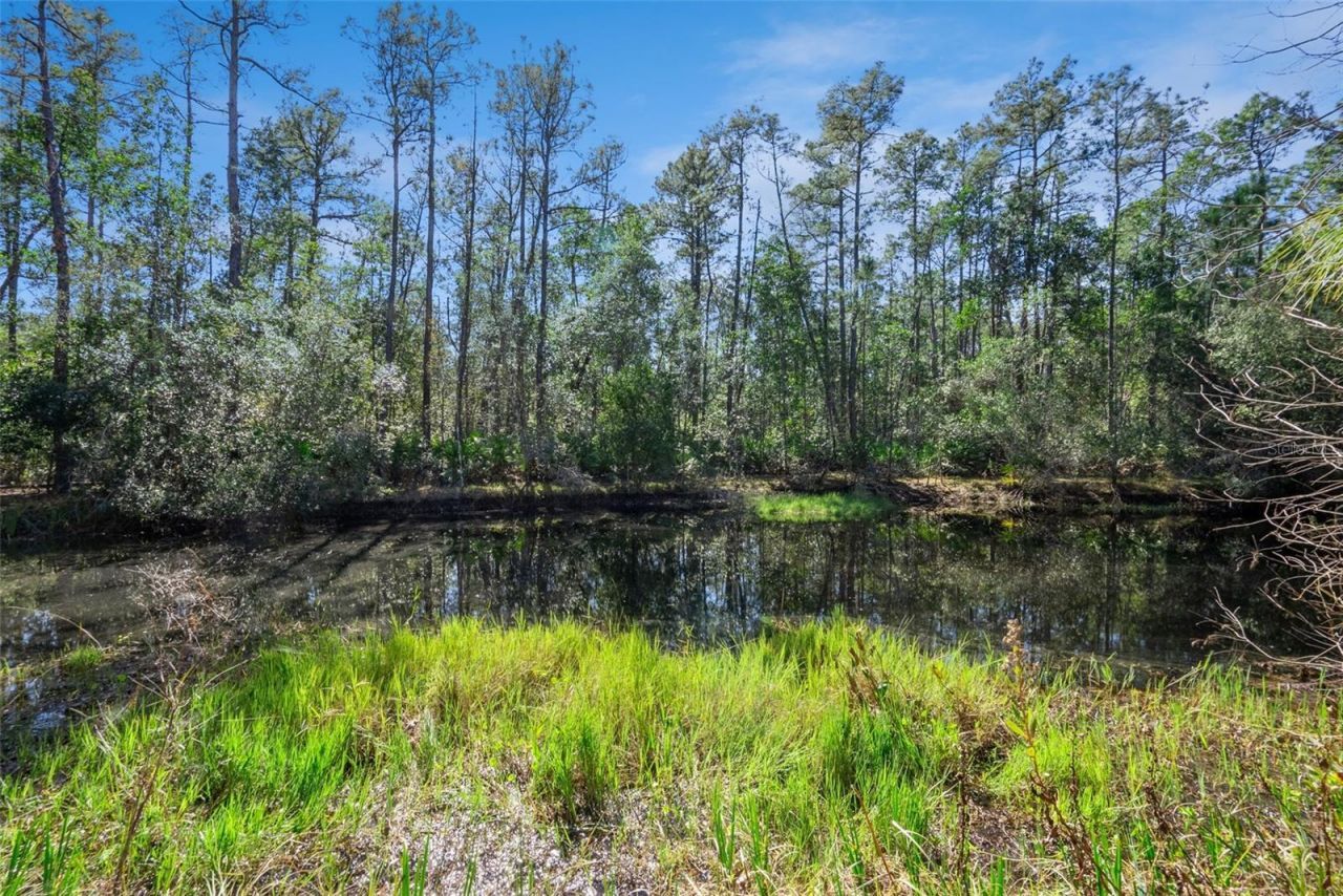 3441 Hickory Creek Road, Deltona, FL 32738 Photo